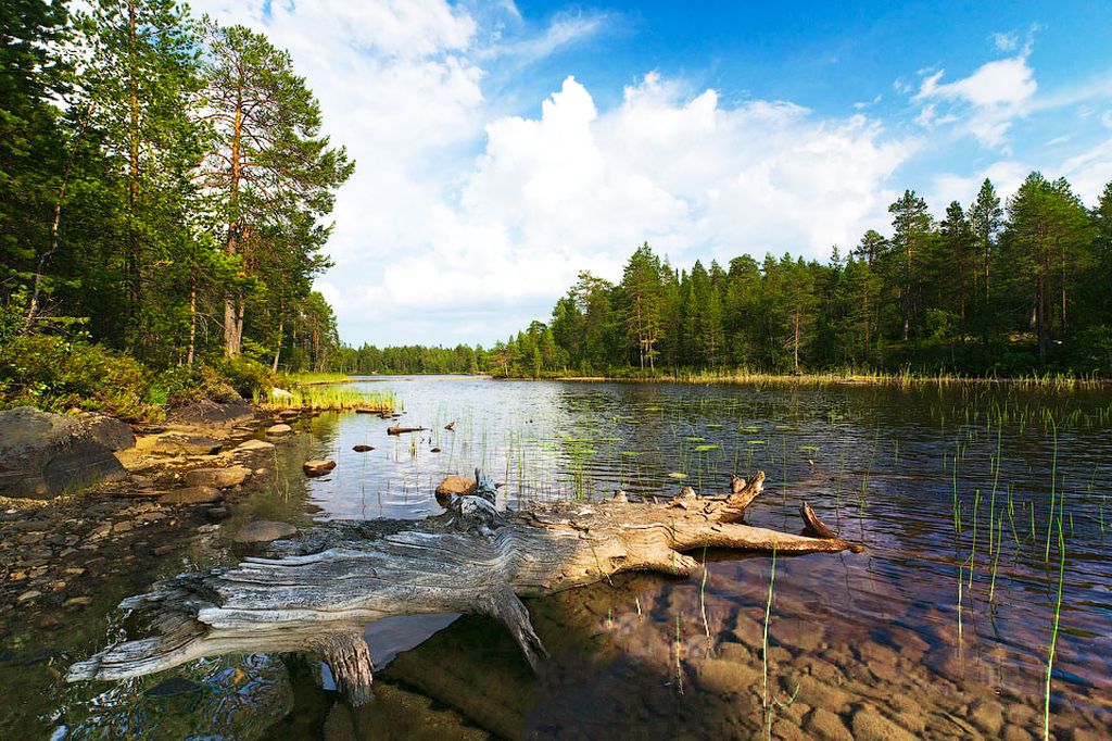 Энгозеро карелия фото